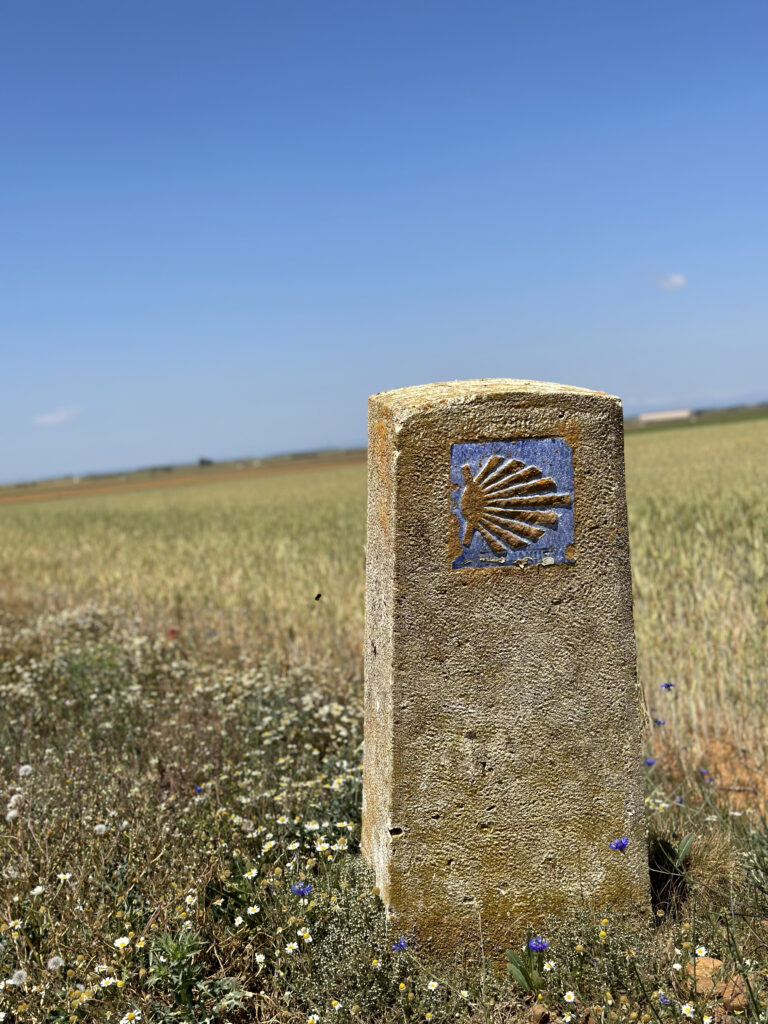 Camino Frances Marker