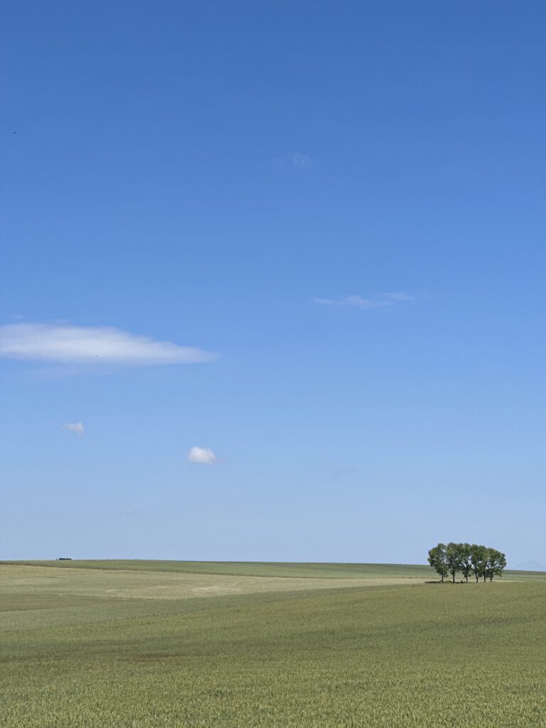 Camino Skyline