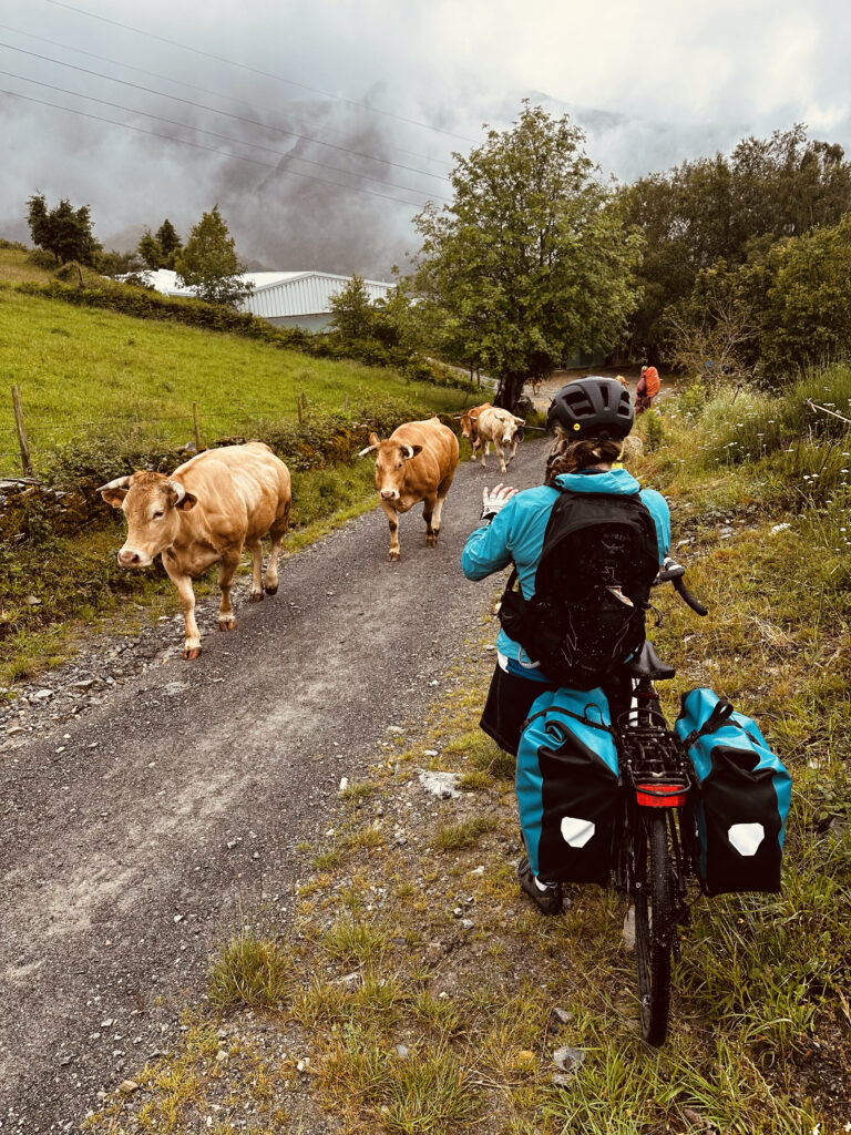 Camino Traffic Jam