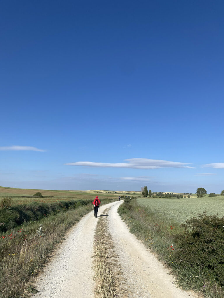 Hiking the Camino Frances