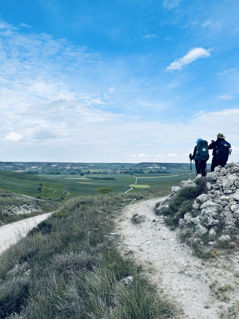 Meseta View