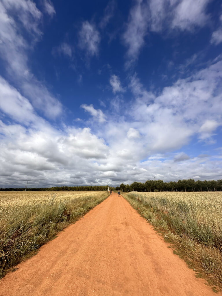 Open Road Camino de Santiago