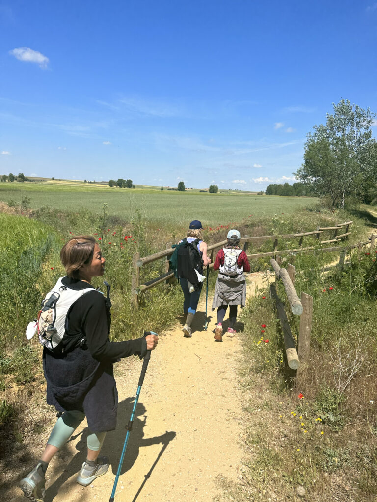 Walking the Camino Frances