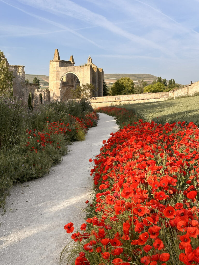 monastery ruins san anton