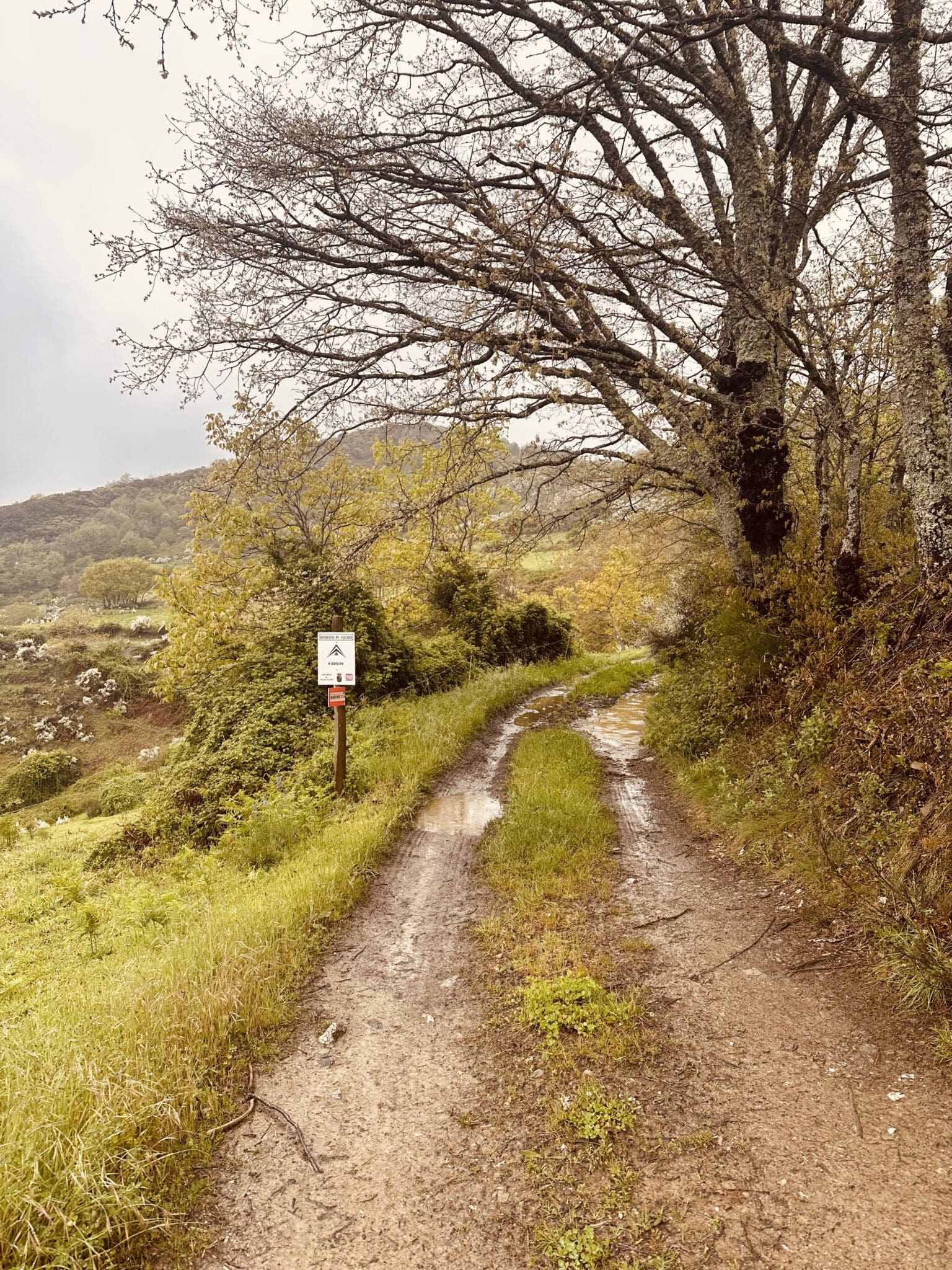 Descent to Las Herrerías