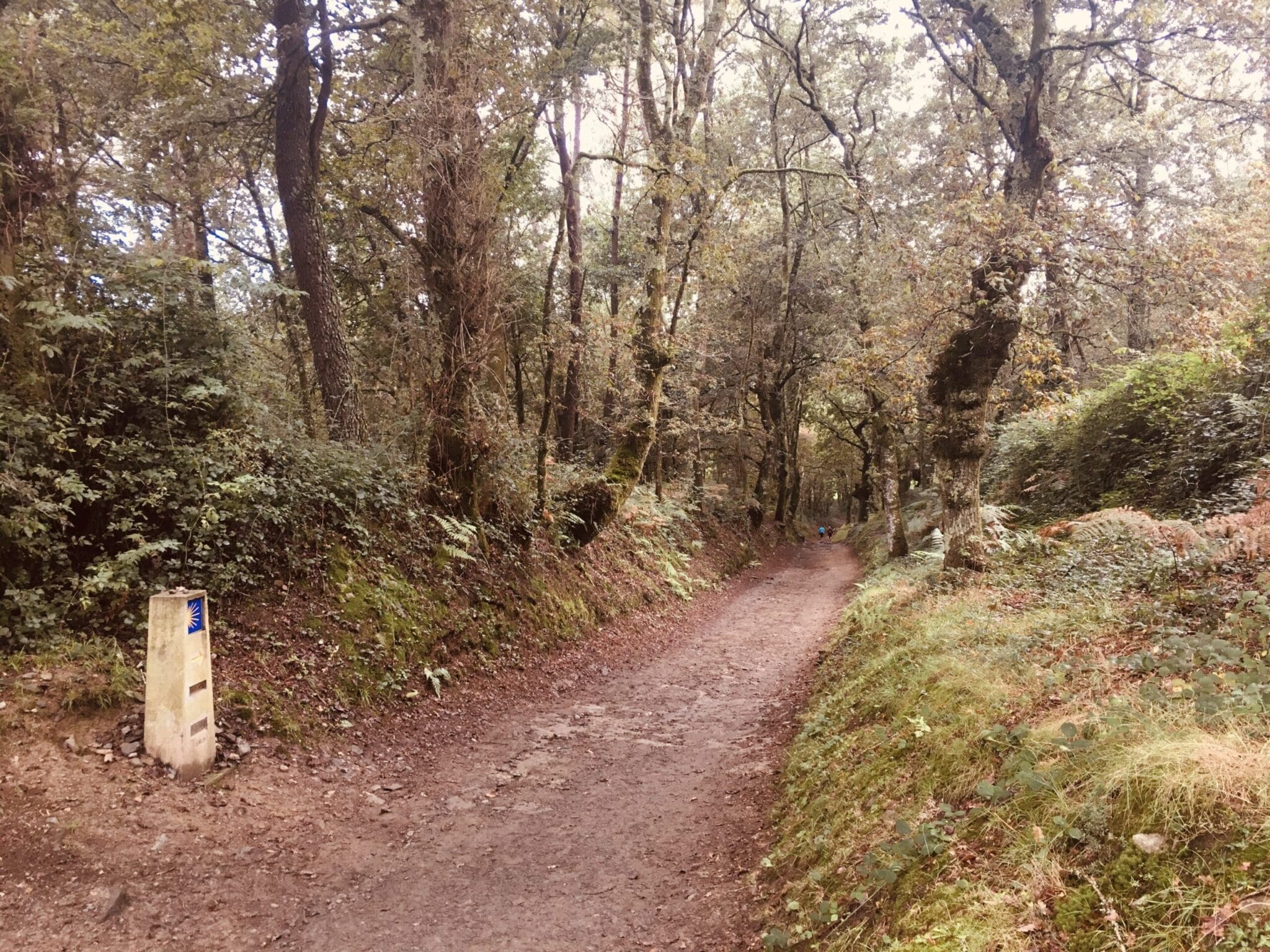 A Rúa