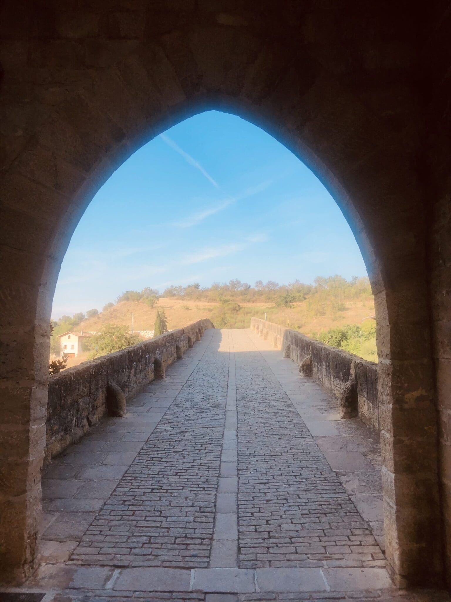 Bridge Puente la Reina