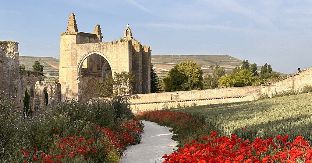 The Meseta