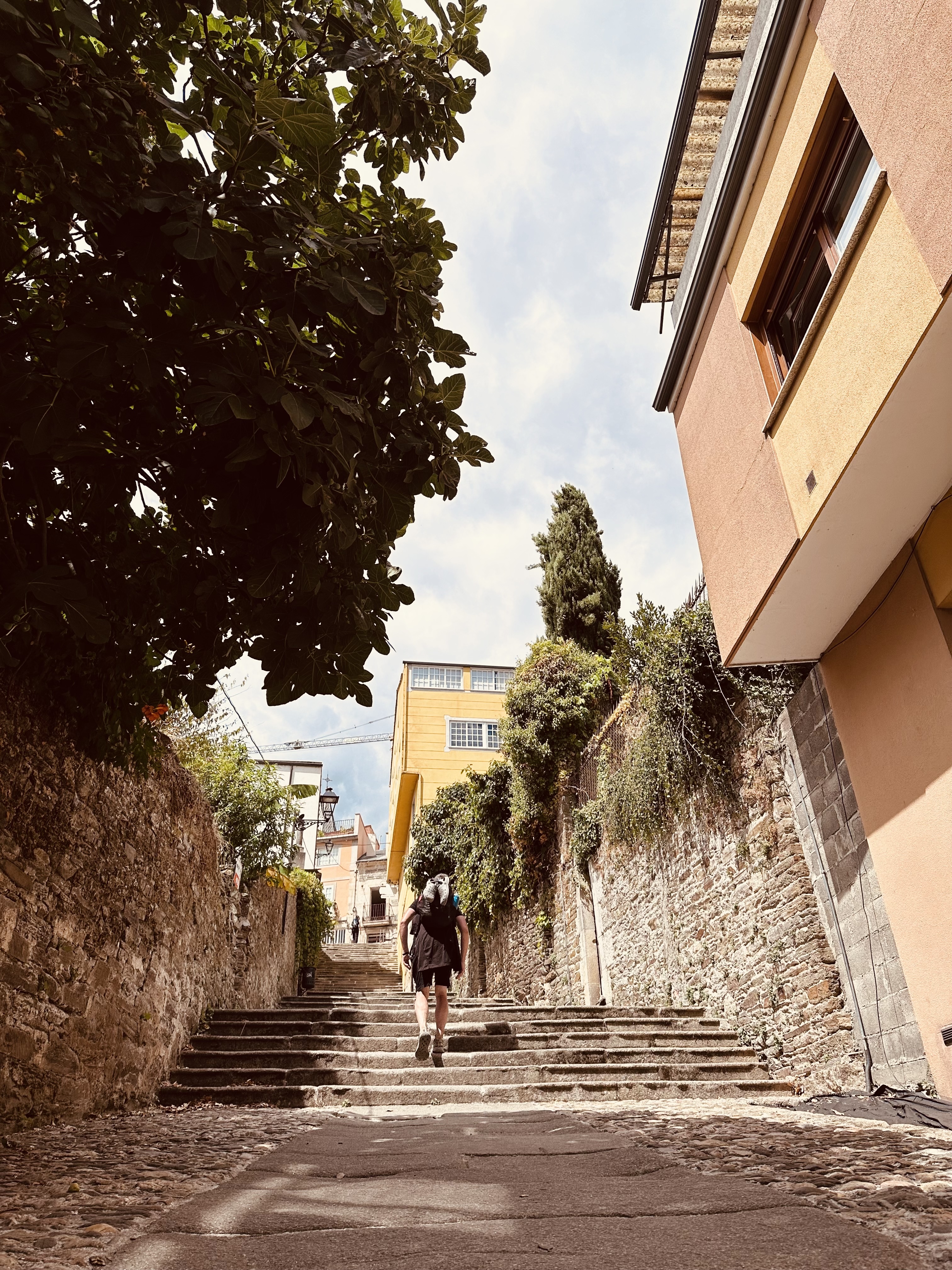 Sarria Steps