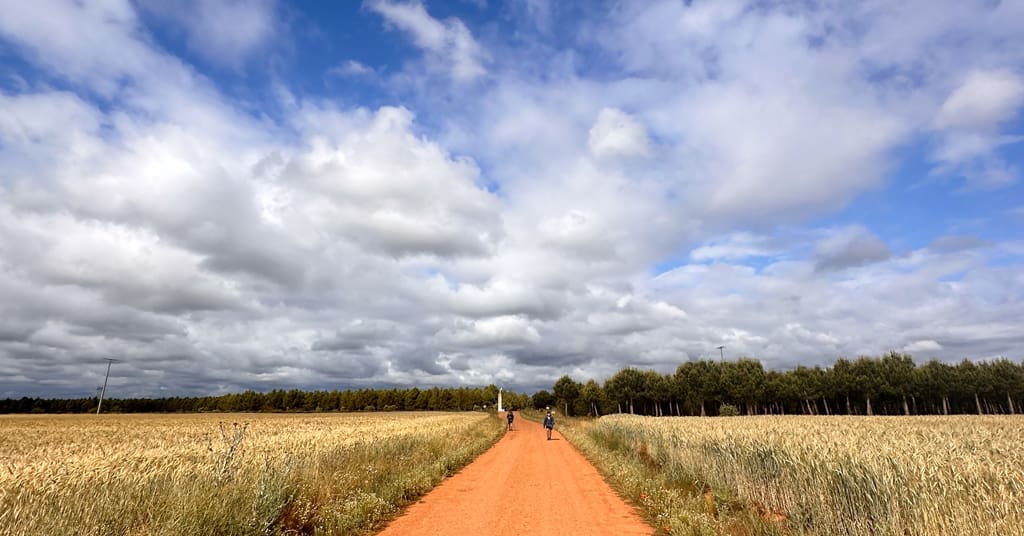 Lonely walking on the Camino