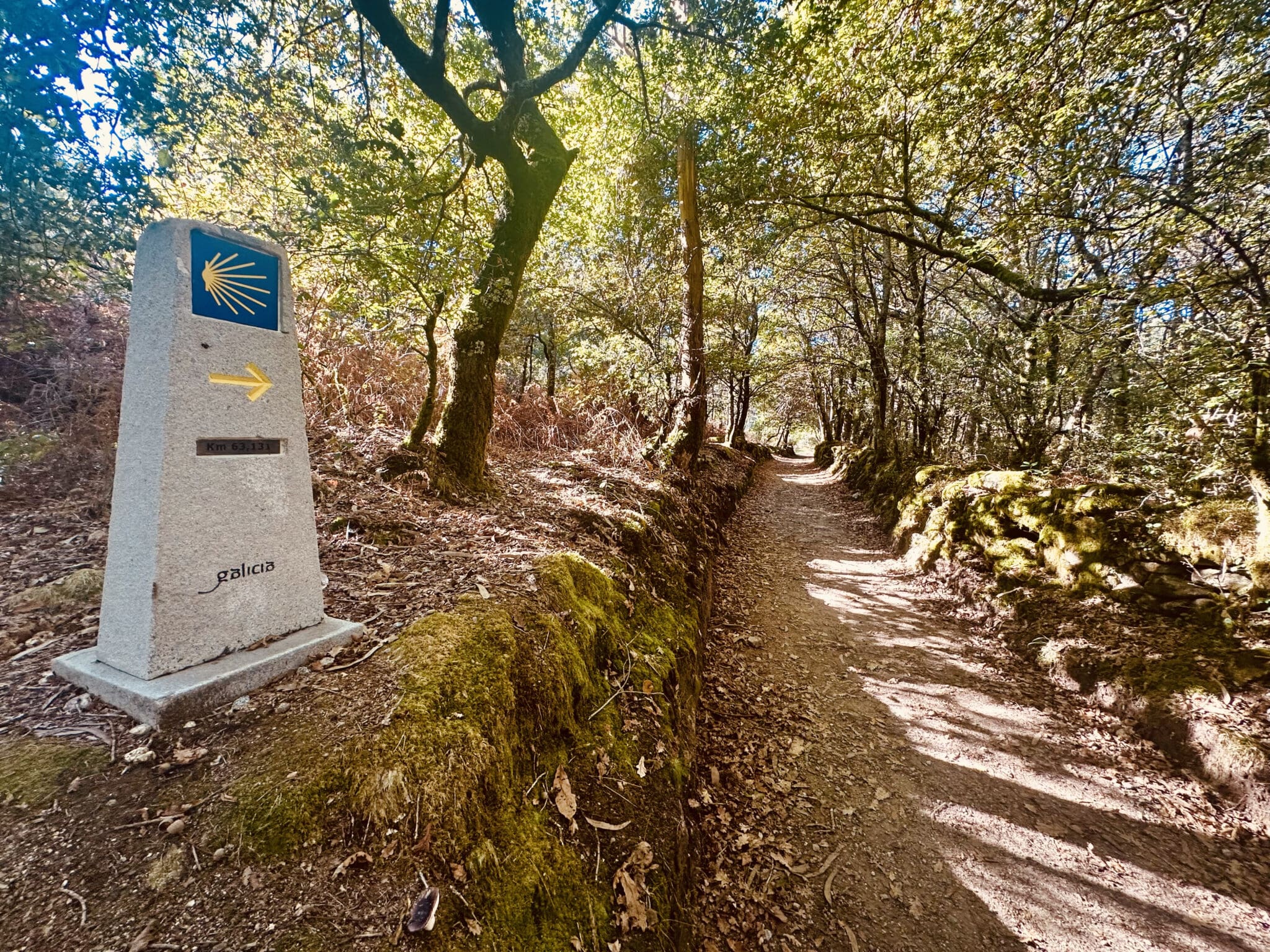 Woodland Path on Way to A Pena