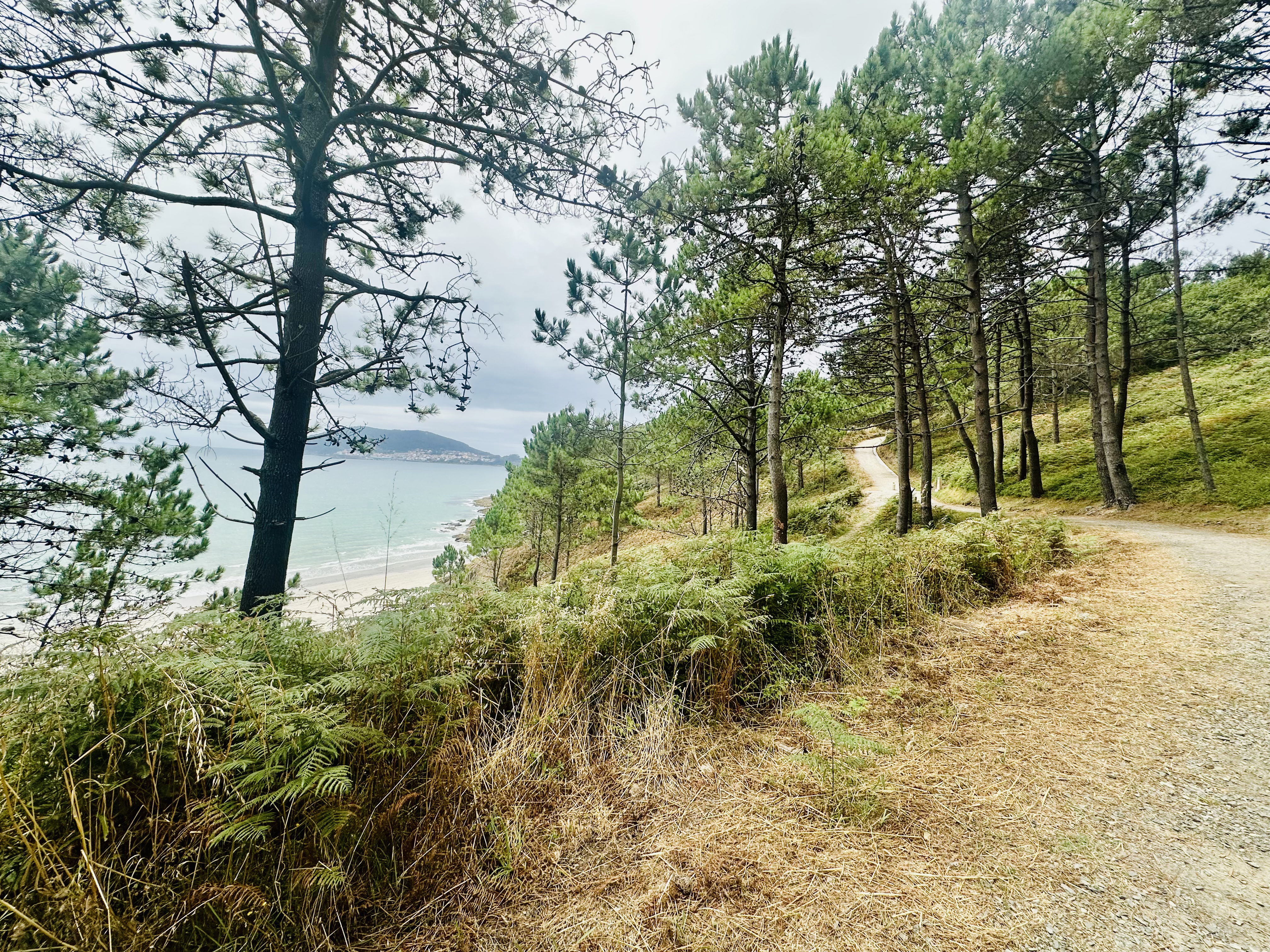 Walk to Fisterra